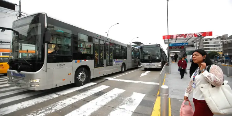 MetropolitanoLimabuses