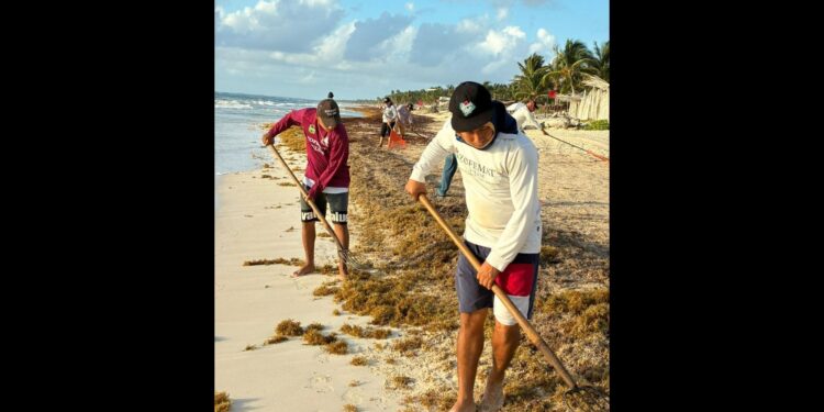 La Jornada Maya | Quintana Roo | Miguel Améndola