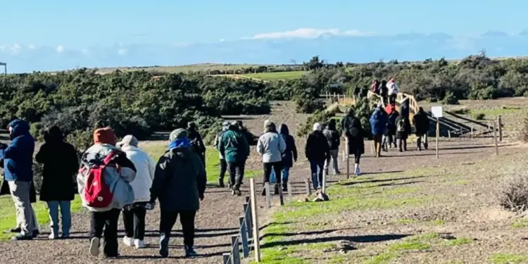 Alistan la infraestructura de Punta Tombo para recibir cruceros