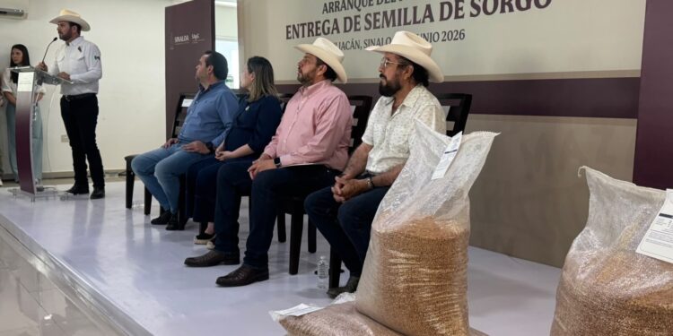 Turismo y seguridad avanzan, Sinaloa suma 74 cruceros en el año.