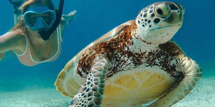 Belice apuesta por atraer a salvadoreños, diáspora y viajeros internacionales.