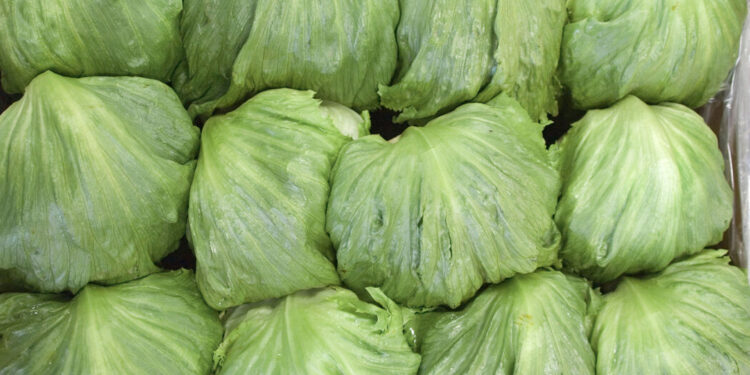 Brote de ‘Cyclospora’: Taylor Farms retirará algunos productos