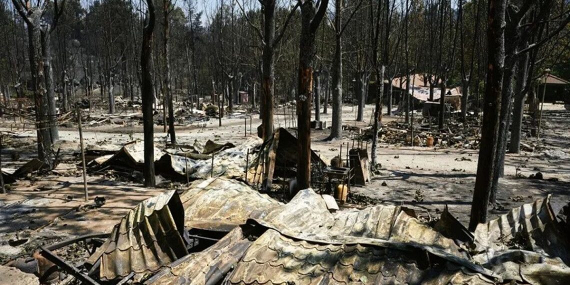 Ayuda jur&iacute;dica urgente para agencias golpeadas por los incendios