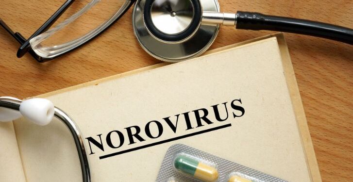 Brote de norovirus afecta a más de 120 personas en crucero rumbo a Alaska – MonitorExpresso.com