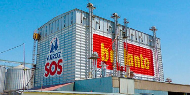 Ebro Foods dispara su beneficio un 7,1% en el primer semestre de 2026