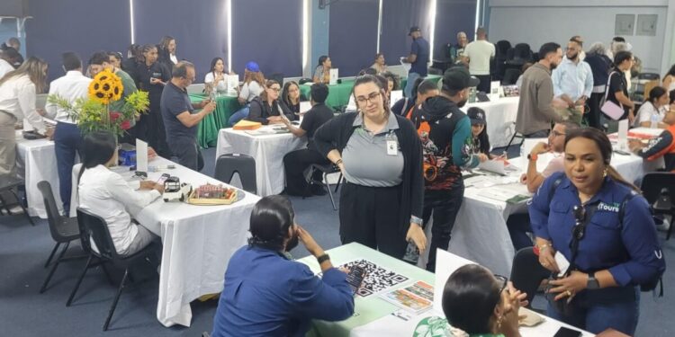 Los participantes