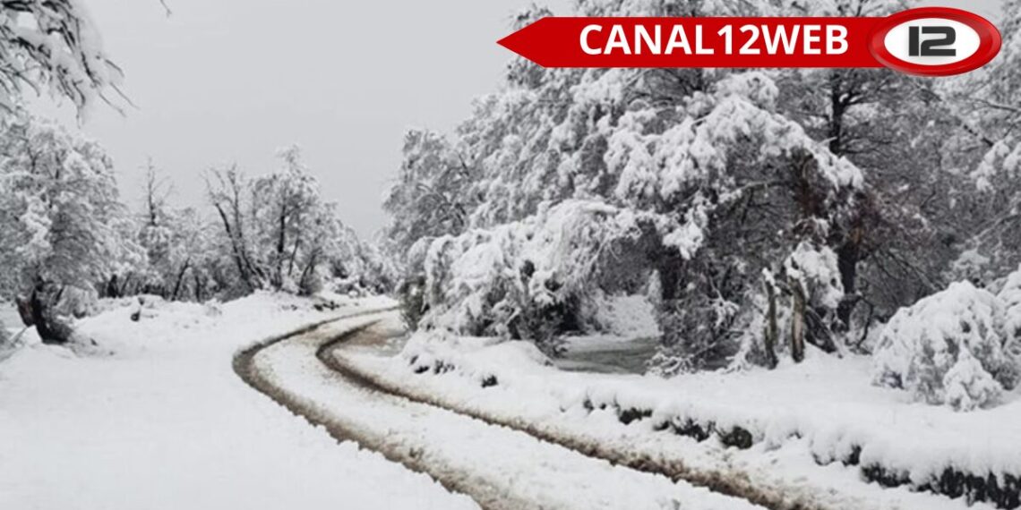 Ante las intensas nevadas en la Comarca, recomiendan evitar viajes innecesarios
