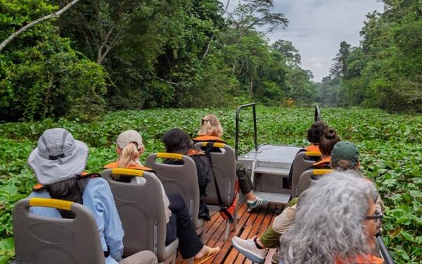 Fotógrafo destaca cómo aprovechar viaje en Delfin Amazon Cruises