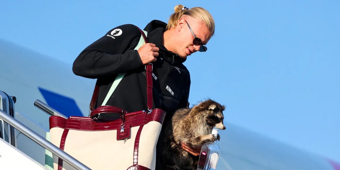 La colección de lujosas bolsas con las que Erling Haaland desfiló en el mundial