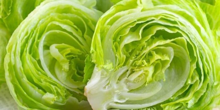Investiga México lechuga señalada por brote de diarrea en EU