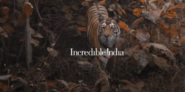 Los viajes a la India ahora requieren de declaración sanitaria