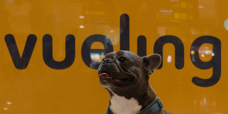 Más de 100.000 mascotas viajan a bordo con Vueling cada año, reforzando su posición como aerolínea pet friendly