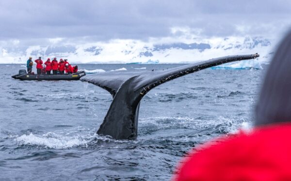 Poseidon Expeditions presenta nuevas experiencias exclusivas de fotografía en la Antártida