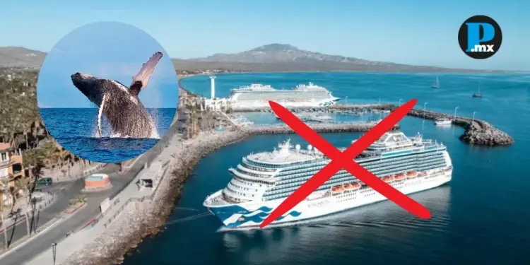 Semarnat veta cruceros y puerto de altura en Loreto para proteger la Bahía