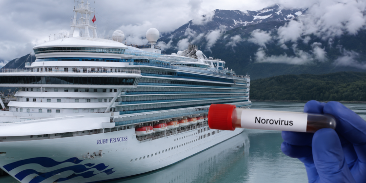 Brote de norovirus en crucero revive la predicción viral del "niño del Mundial 2026"; esto dicen las autoridades
