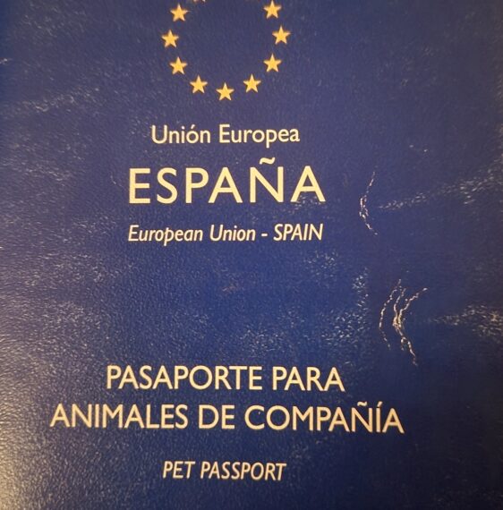 Pasaporte, microchip y vacuna contra la rabia: los veterinarios advierten de los requisitos para viajar con animales de compa&ntilde;&iacute;a