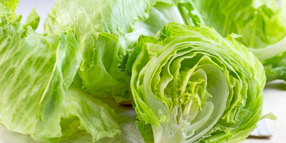 Taylor Farms retira lechuga iceberg por brote de ciclosporiasis – Telemundo Phoenix/Tucson
