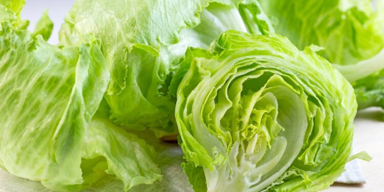 Taylor Farms retira lechuga iceberg por brote de ciclosporiasis – Telemundo Phoenix/Tucson