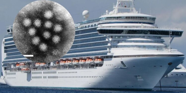Un brote de norovirus obliga a activar un protocolo sanitario en un crucero con más de 120 afectados