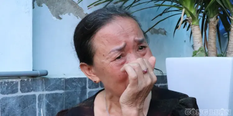 Vietnam.vn - Nền tảng quảng bá Việt Nam