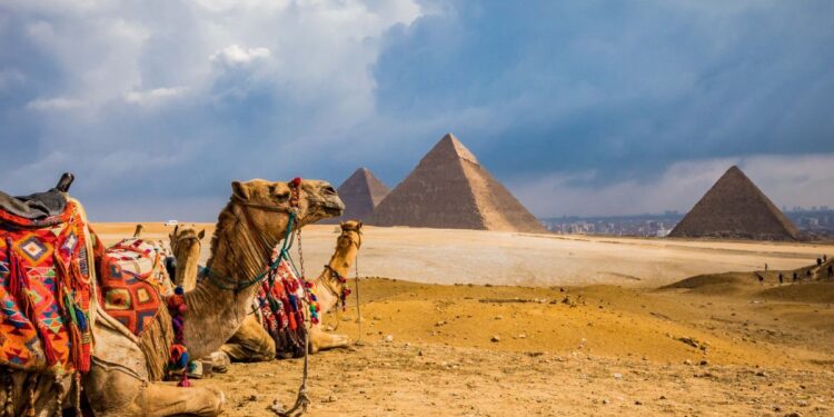 VECI acelera para hacerse fuerte en Egipto: esta es su estrategia