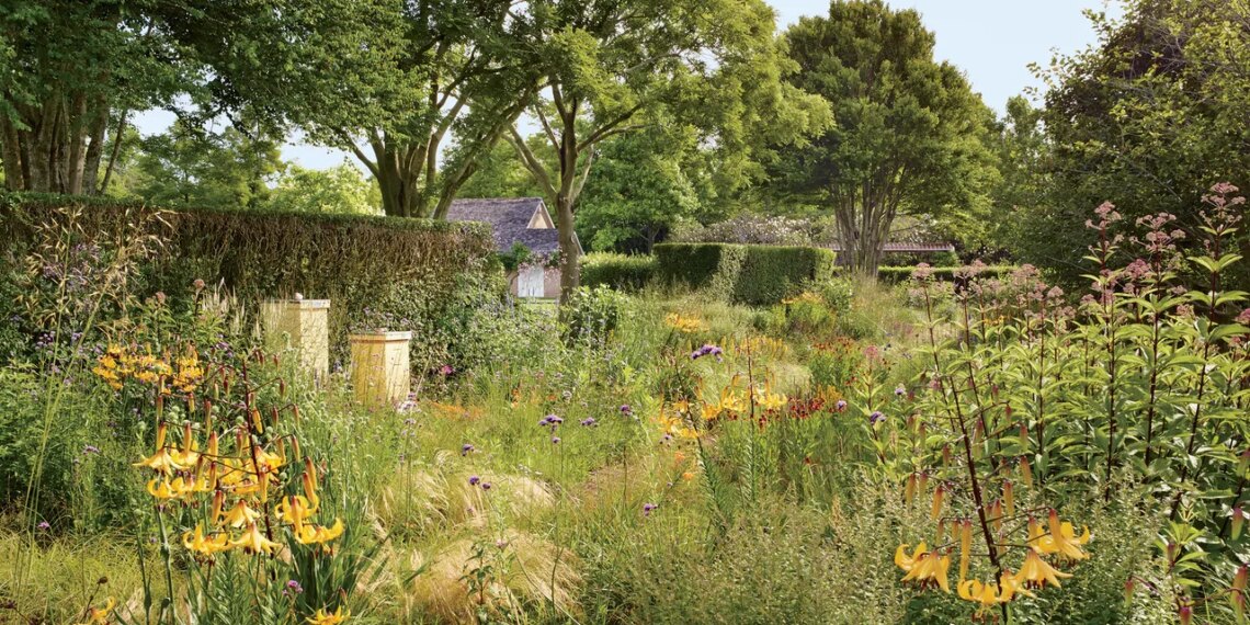 What Is a Chaos Garden?
