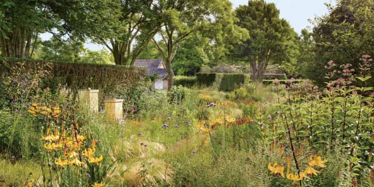 What Is a Chaos Garden?