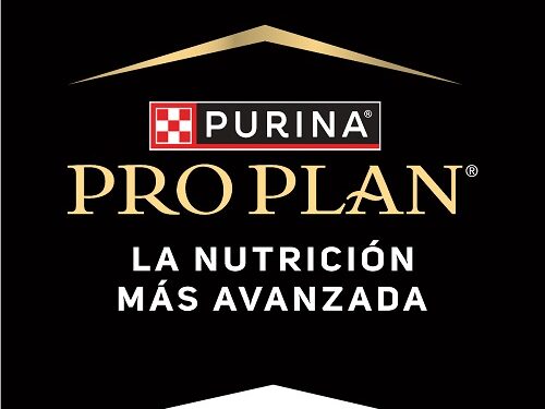 A partir del 13 de agosto, estará disponible la “Escuela Veterinaria de Purina” en KidZania Santa Fe.
