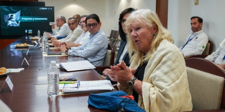 Impulsan navieras internacionales más inversión turística en Yucatán