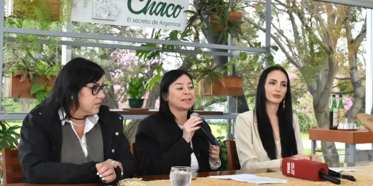 Chaco tendrá por primera vez su Fashion Week: moda, cultura y turismo en un evento inédito
