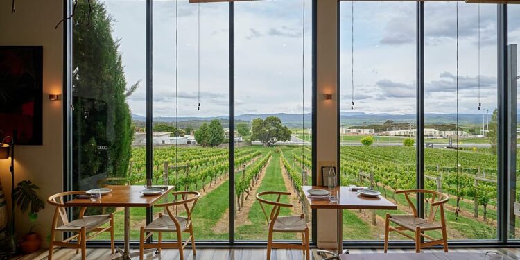De la Toscana a Moldavia, se revelan los mejores restaurantes de bodegas de Europa