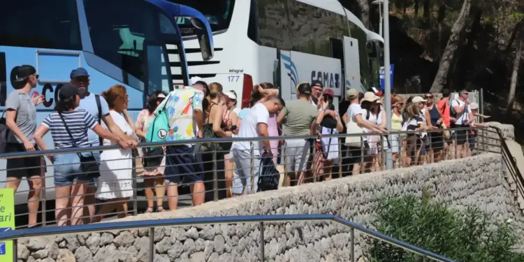 El calor provoca un descenso de las excursiones en Mallorca