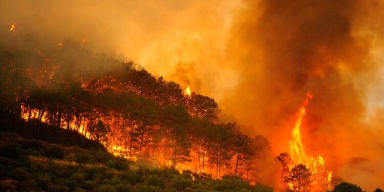 incendios forestales en España y el eclipse