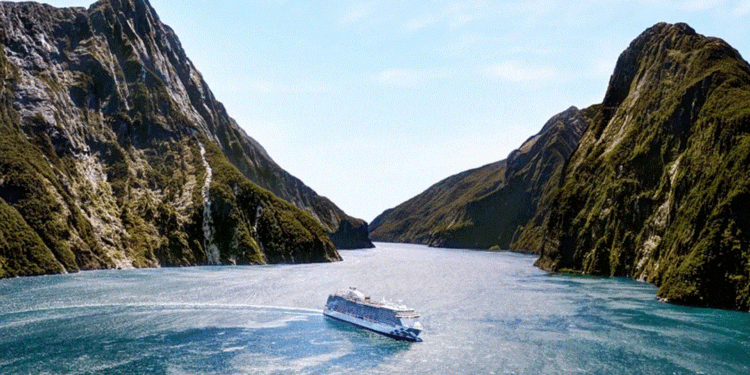 Cae un 20% el sector de cruceros de Nueva Zelanda