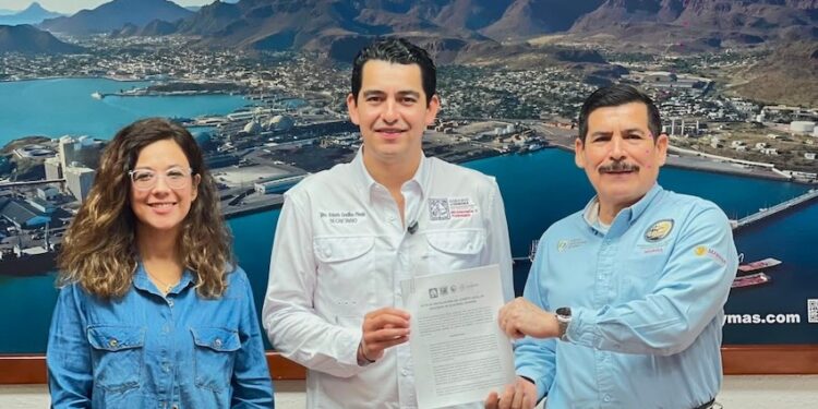 Instalan Comité Local de Cruceros turísticos