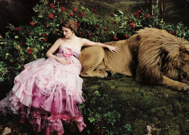 The Lion’s Gate Portal Is Approaching—Here’s What It Means for Every Star Sign