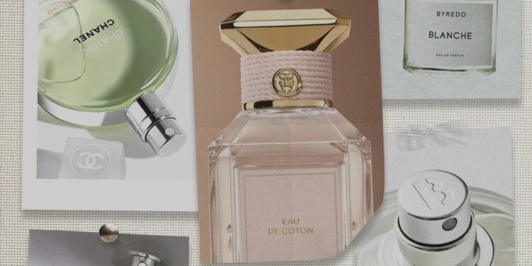 The Best Fresh Perfumes Go With Everything