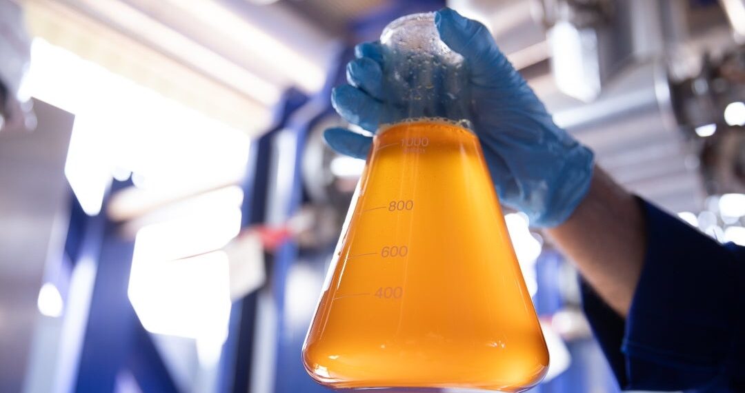 Minerva Foods abre mercado de EE.UU. para el sebo bovino colombiano y biocombustibles