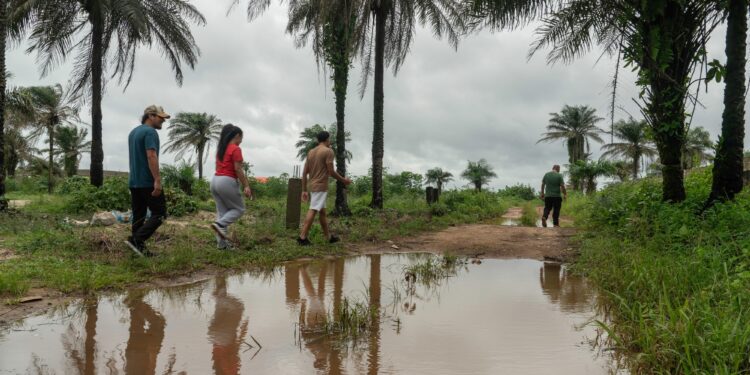 Deportados relatan sus desgarradores viajes a África: grilletes, un "congelador" y golpes