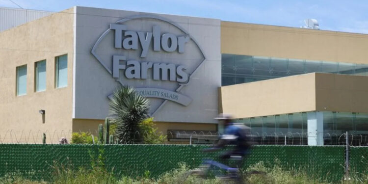 Taylor Farms retira salsa y guacamole por brote de salmonela; se agrava temor por seguridad alimentaria