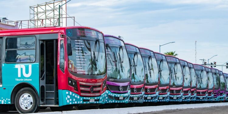 Tiburón Urbano suma 2.8 millones de viajes en La Paz
