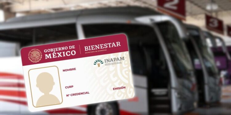 Viajar en autobús por México puede costar la mitad. El secreto está en esta credencial
