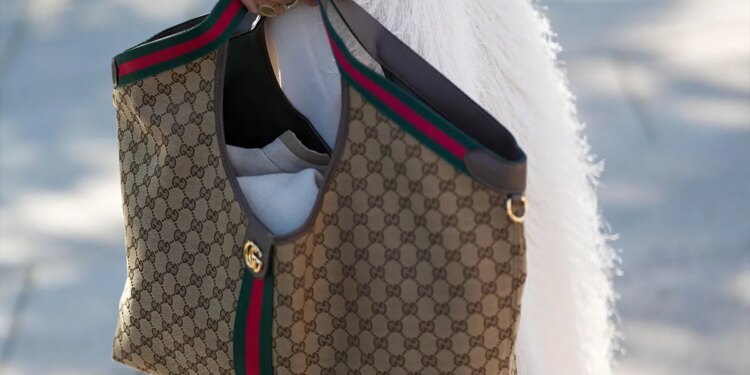 Should Luxury Brands Reduce their Prices?