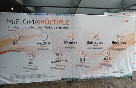 El mieloma múltiple es más común en personas de más de 60 años. Ante este panorama, la investigación científica impulsa terapias basadas en ciencia de precisión