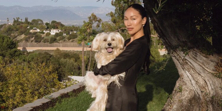 From Pet Care to Laundry: Why Everything’s Getting a Fashion Facelift