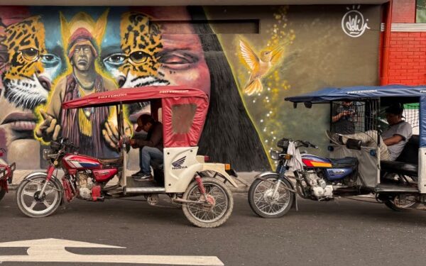 Delfín Amazon Cruises destaca a Iquitos como ciudad clave en programas