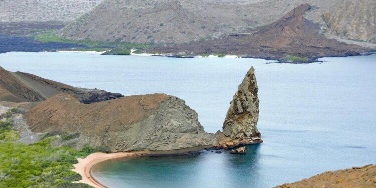 La idílica isla del Pacífico que busca voluntarios para cuidar del mar y animales: ofrece alojamiento gratuito