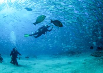 Los Cabos refuerza su oferta de turismo activo con propuestas para todo el año