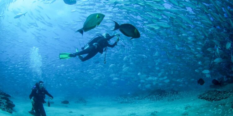 Los Cabos refuerza su oferta de turismo activo con propuestas para todo el año