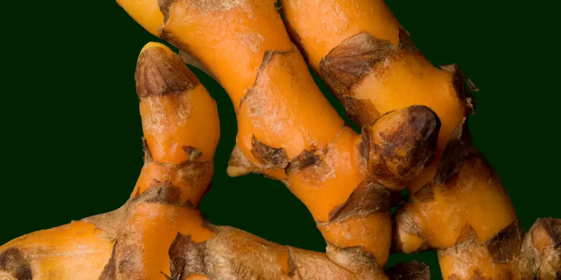 Turmeric’s Unexpected Benefits | Vogue